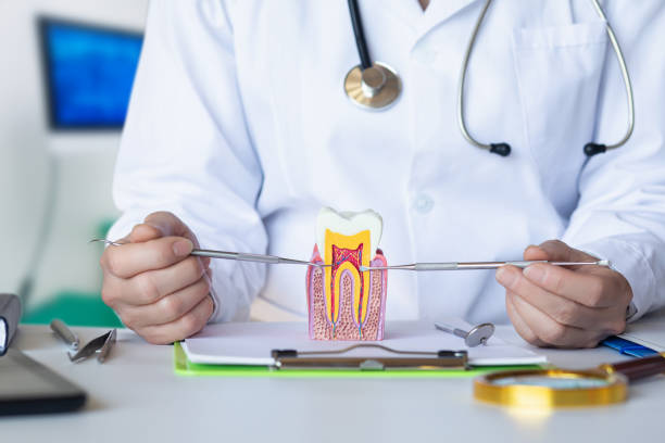 Best Emergency Wisdom Tooth Extraction in Maroa, IL