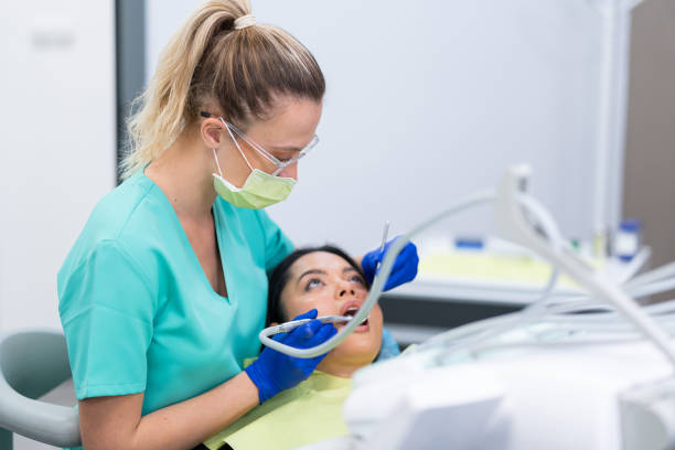 Best Emergency X-Rays and Diagnostics in Maroa, IL